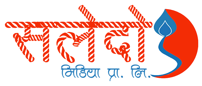 Saldo logo